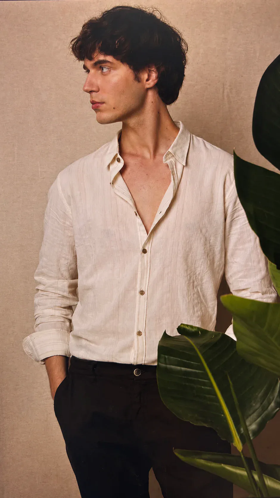 Three-quarter portrait in an ecru linen shirt, neutral background with a plant
